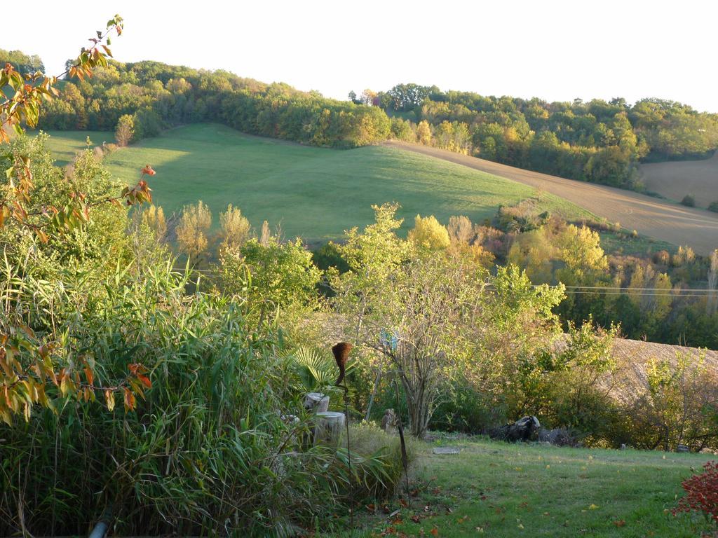 Bed and Breakfast Le Fraysse à Montdurausse Extérieur photo