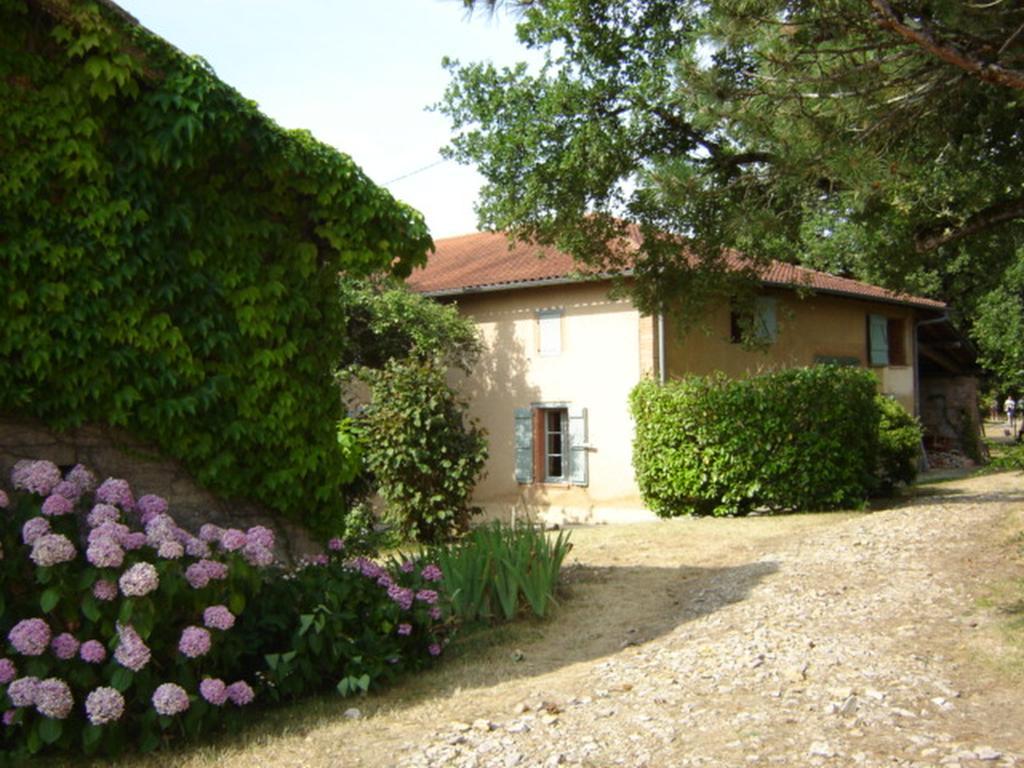 Bed and Breakfast Le Fraysse à Montdurausse Extérieur photo